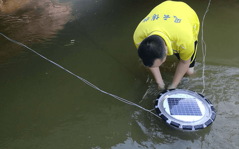 江门河长制河道水质监测项目